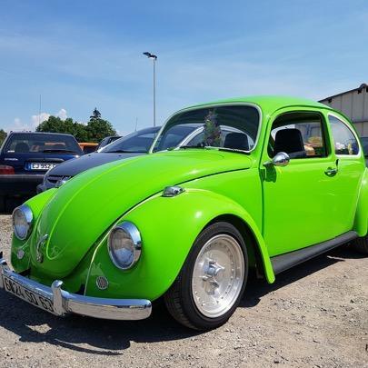 Coccinelle Verte